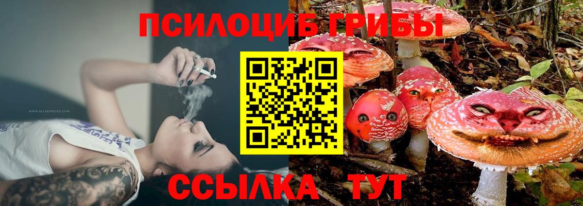Псилоцибиновые грибы мицелий Октябрьский
